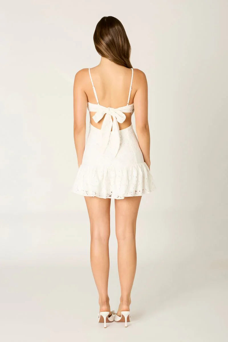 Contrast Trim Lace Mini Dress
