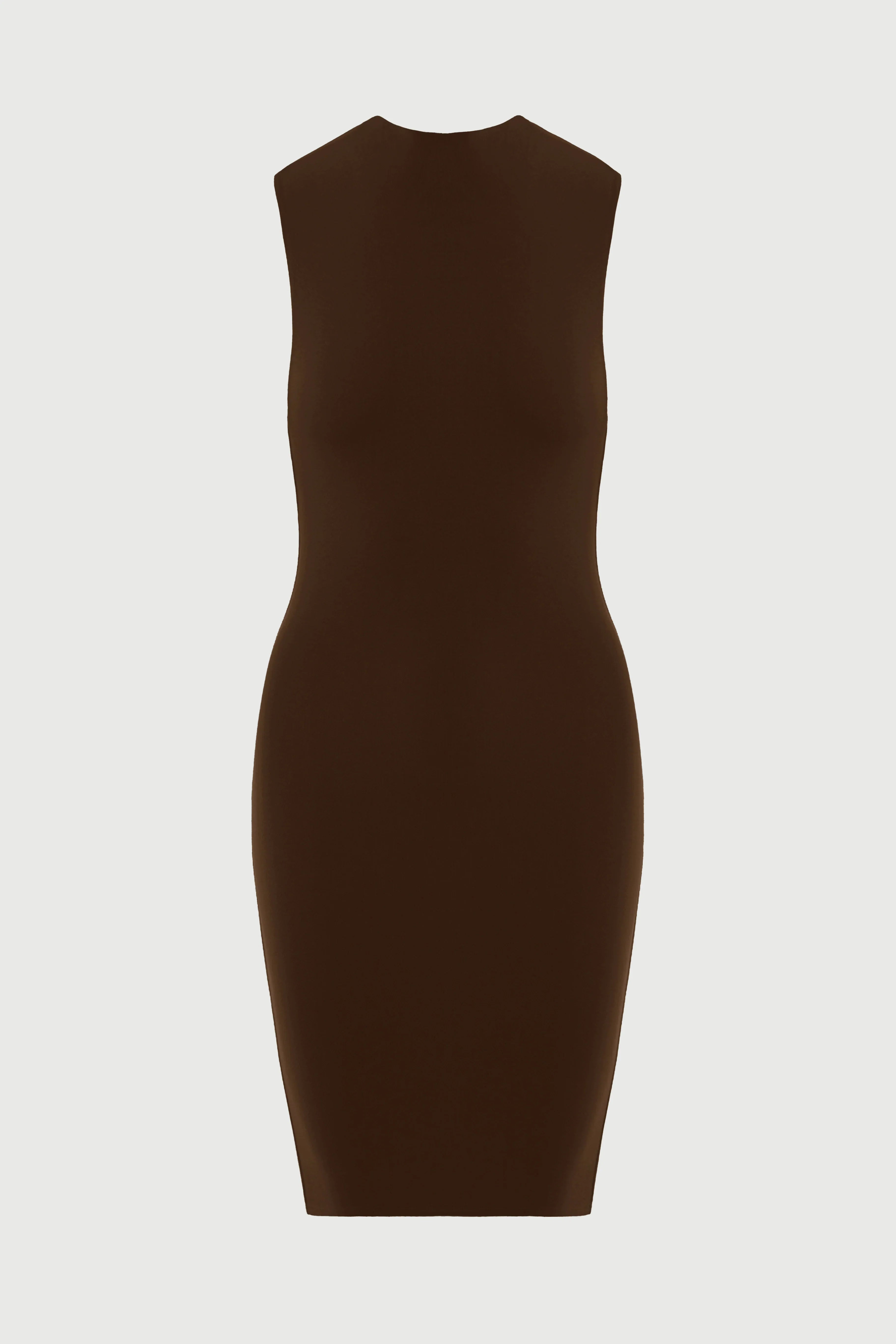 NW Sleeveless Mini Dress