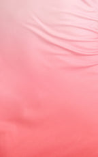 Lolly Maxi Dress - Strapless Bias Column Dress with Scarf in Blush Ombre Print