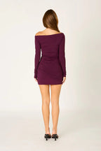 Long Sleeve Stretch Mini Dress