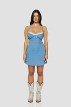 THE FOSTER DRESS IN DENIM