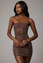 Sheer Embellished Bodycon Mini Dress in Deep Cocoa