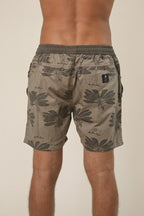 Traveller Palm Short