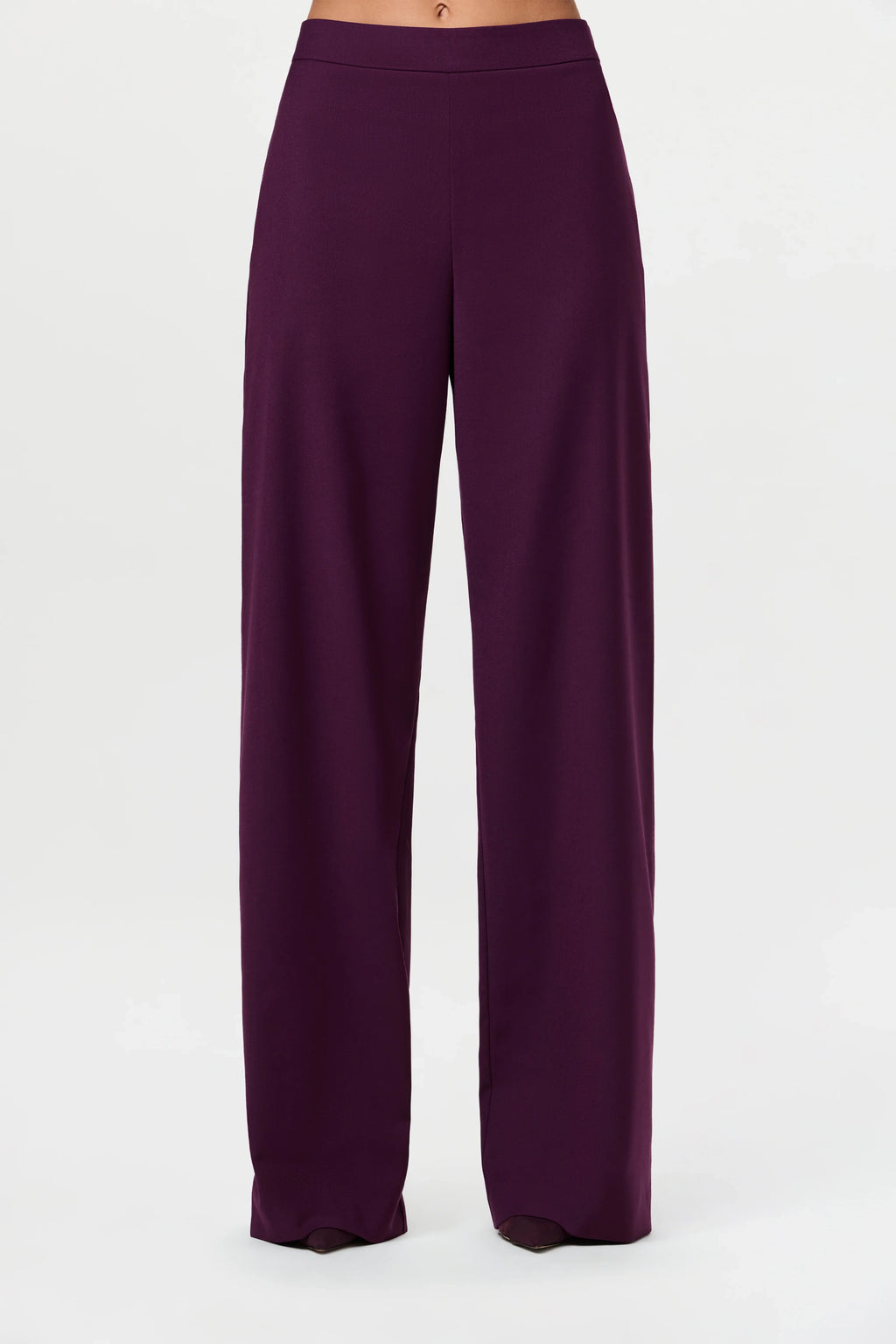 Suiting Wide-Leg Pant