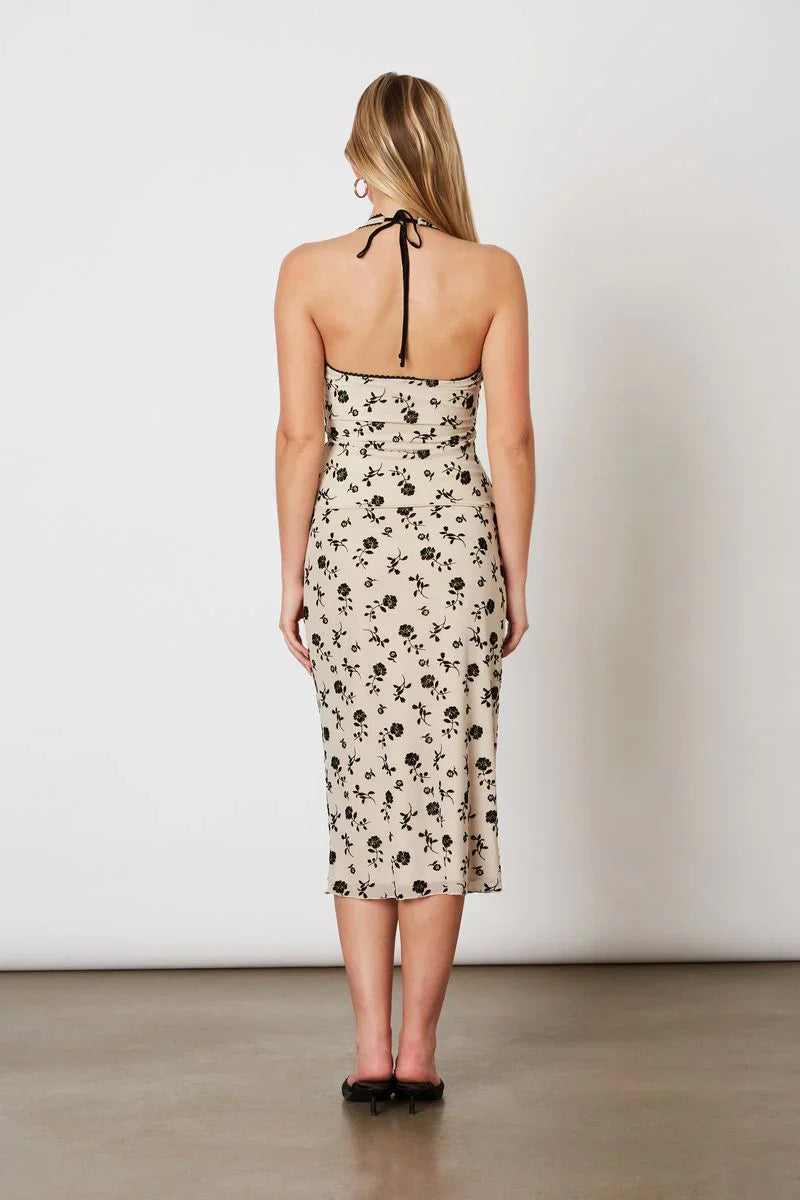 Flocked Velvet Mesh Halter Top