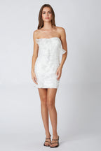 Organza Mini Dress