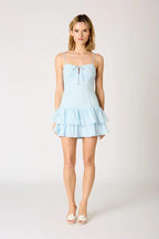 Embroidered Eyelet Mini Dress