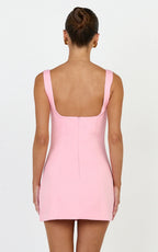 Zaria Mini Dress - Panel Dress in Pink