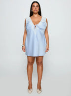Nourish Mini Dress Blue Curve