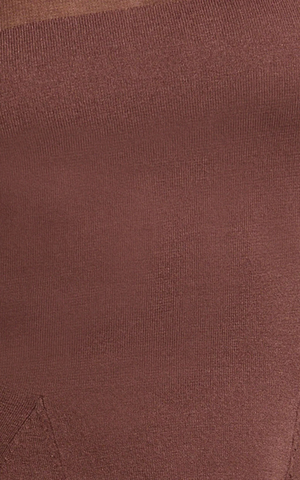 Camilla Mini Dress - Turtle Neck Fit And Flare Sheer Contrast Knit Dress in Chocolate